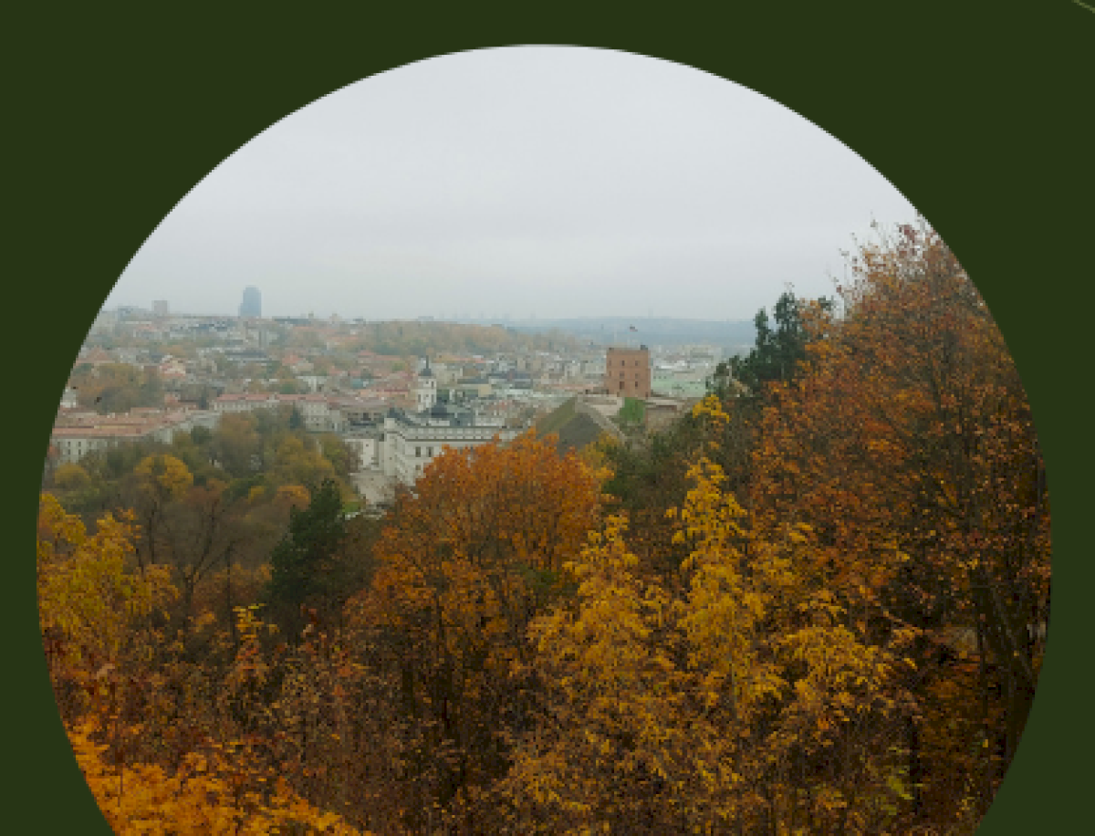 Vilniaus senamiestis – žaliosios sostinės DNR