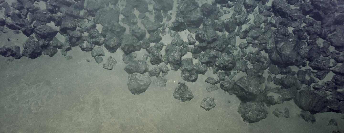 Agentūros vadovas sako, kad gilioji jūra neturi virsti „laukiniais vakarais“ iš retų mineralų