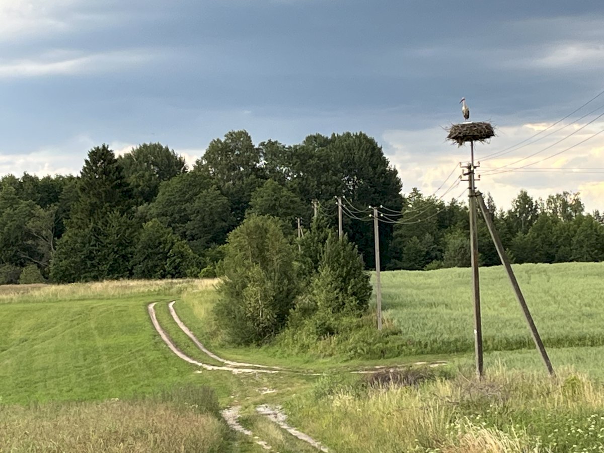 Prognozuojamas rekordinis ekologinės gamybos augimas