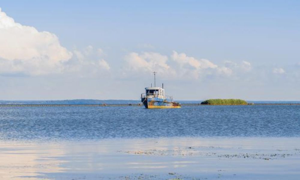 Komisija siūlo žvejybos galimybes 2026 m. Baltijos jūroje