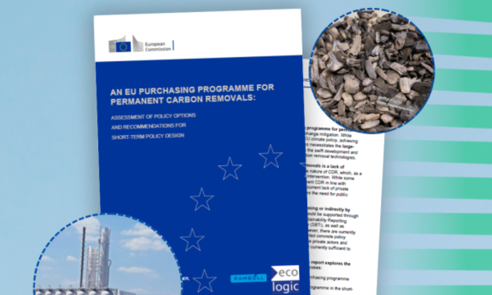 Nauji ES tyrimai tiria pirkimo programą, skirtą padidinti nuolatinį anglies pašalinimą Europoje