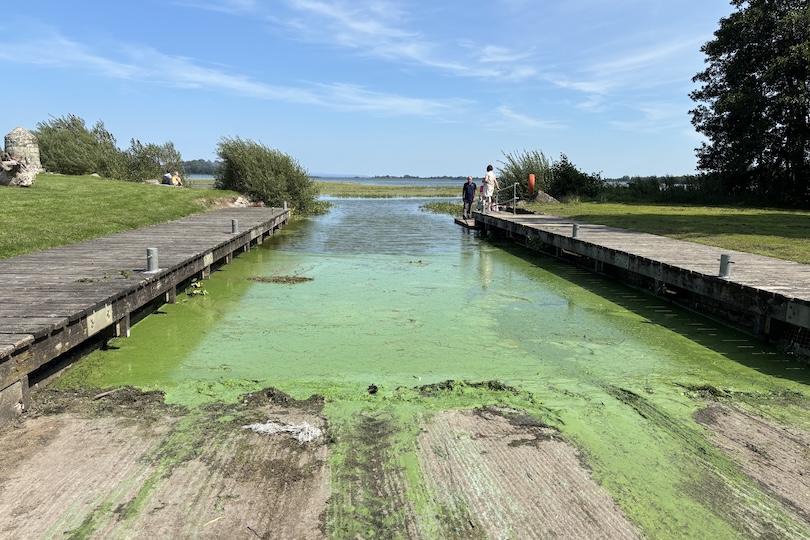 Nuomonė – Šiaurės Airija kaip aplinkos aukos zona