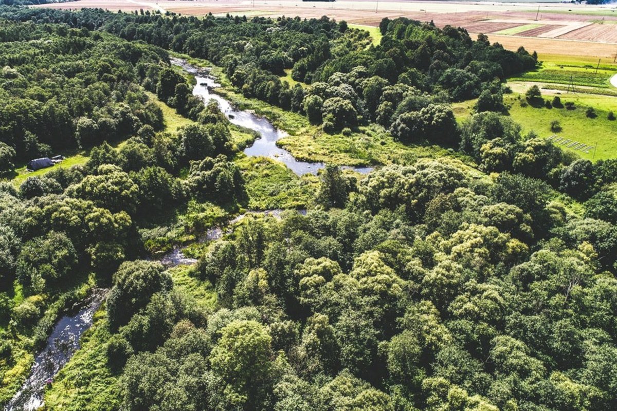 Vyriausybė įsteigė 9 naujus draustinius, dar 2 draustinių teritorija praplėsta