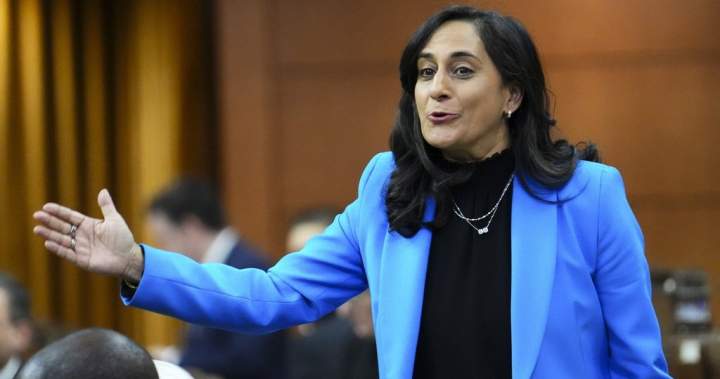 Kanadai reikia naujos Indo-Ramiojo vandenyno strategijos, nes ji siekia gilesnių ryšių su Azija: Anand – Nacionalinė