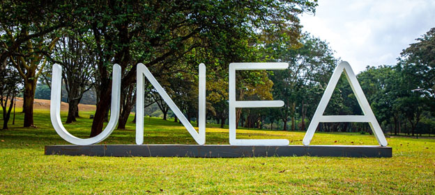 Kodėl JT aplinkos asamblėja yra būtina saugesnei, atsparesnei planetai – pasaulinės problemos