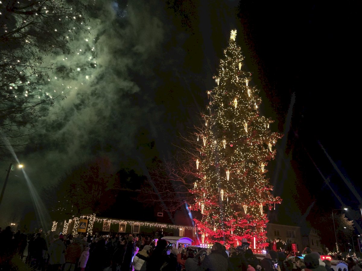 Nušvito aukščiausia Lietuvoje – Priekulės eglė