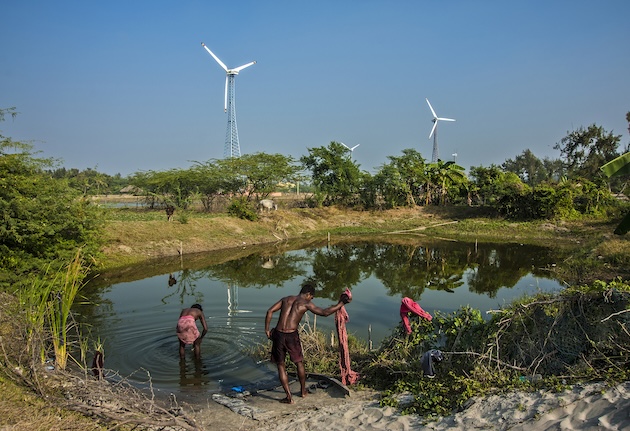 Big Nature-Based Finance Turnaround Needed to Restore, Protect Ecosystems — Global Issues