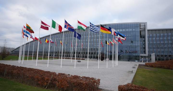 Kodėl JAV ataka prieš Grenlandiją reikštų NATO „galą“ – Nacionalinė