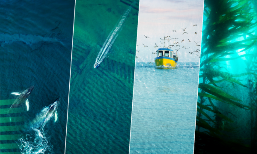 Komisija įsteigia Europos vandenynų valdybą ir kviečia ekspertus patarti vandenynų politikos klausimais