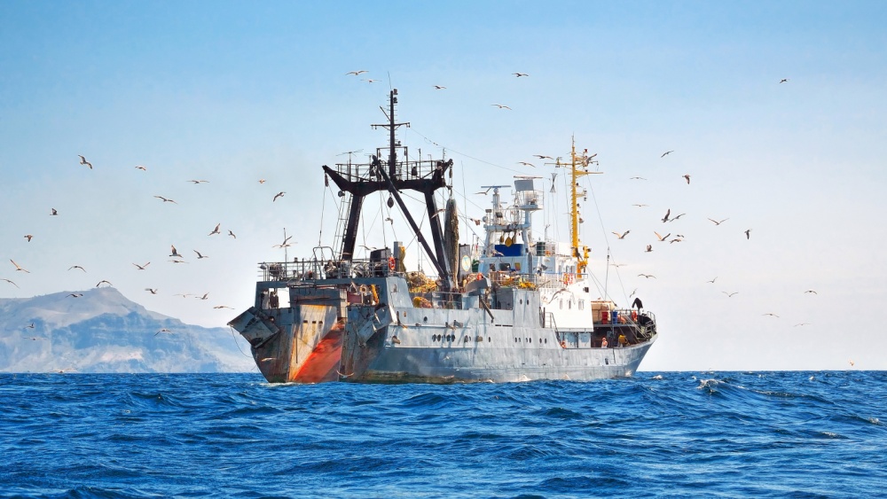 Pagrindiniai maisto grandinės rodikliai – ES žvejybos laivynas