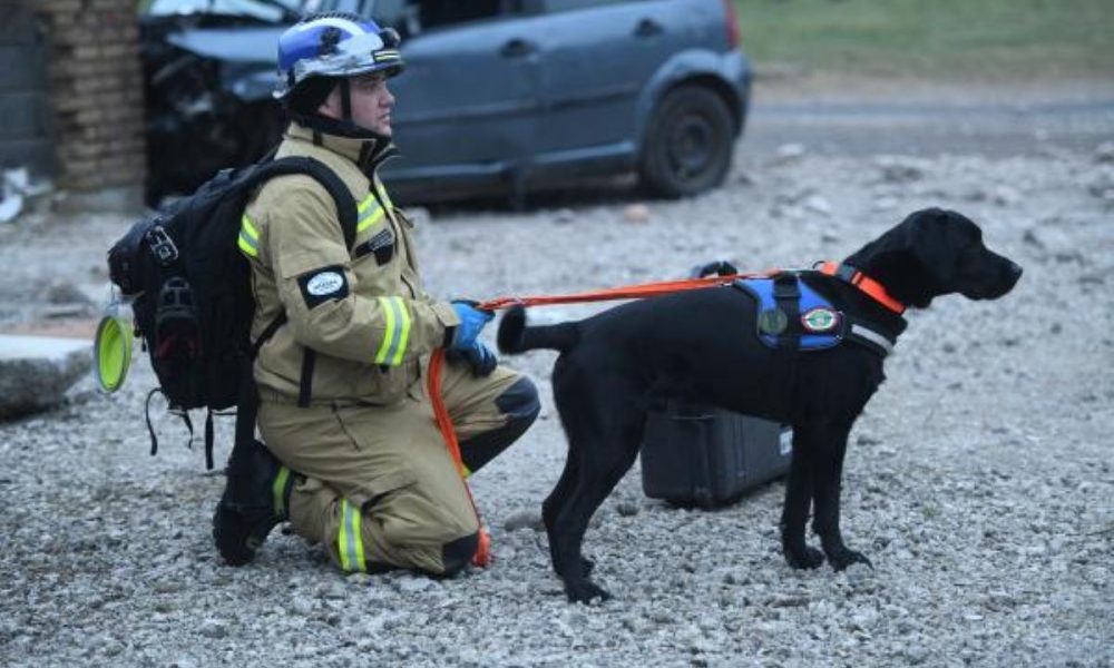ES rengia aukšto lygio konferenciją, skirtą pasirengimo sąjungos strategijos vieneriems metams paminėti