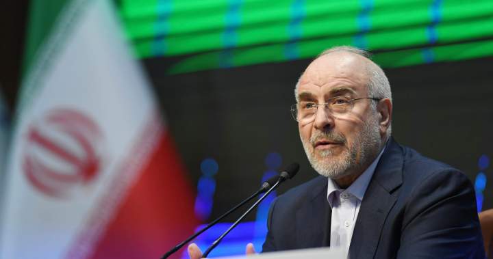 Kai kurių atviriausių Irano režimo lyderių vaikai gyvena Vakarų nacionaliniame regione