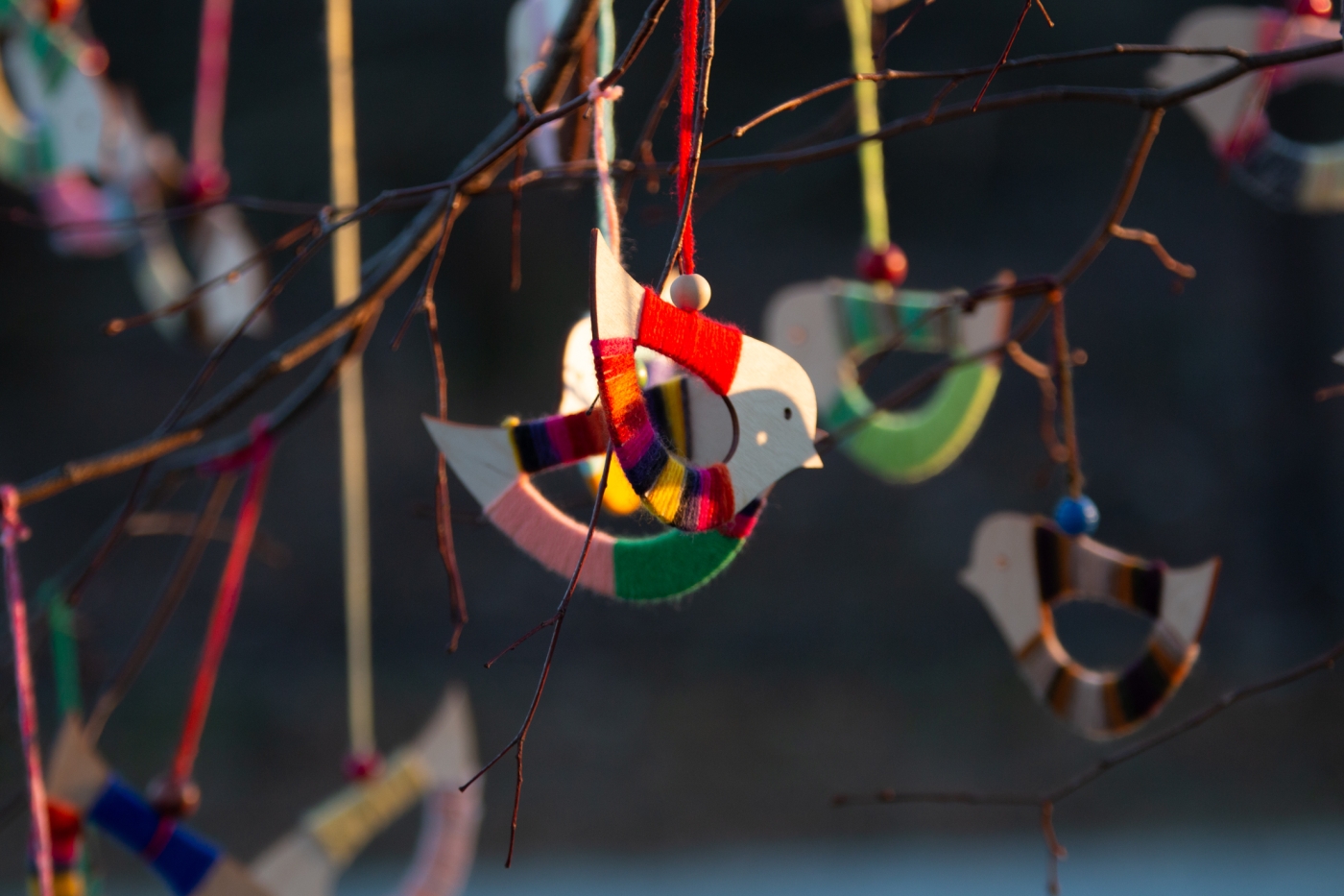 Pasaulinės Žemės dienos renginių ciklą Šiauliuose vainikavo koncertas Rėkyvoje