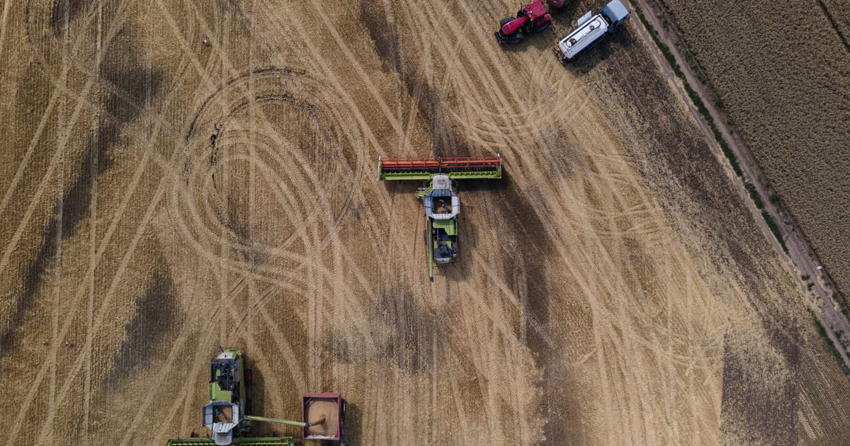 Egiptas nepriims Rusijos eksportuojamų Ukrainos kviečių, teigia Zelenskis – POLITICO