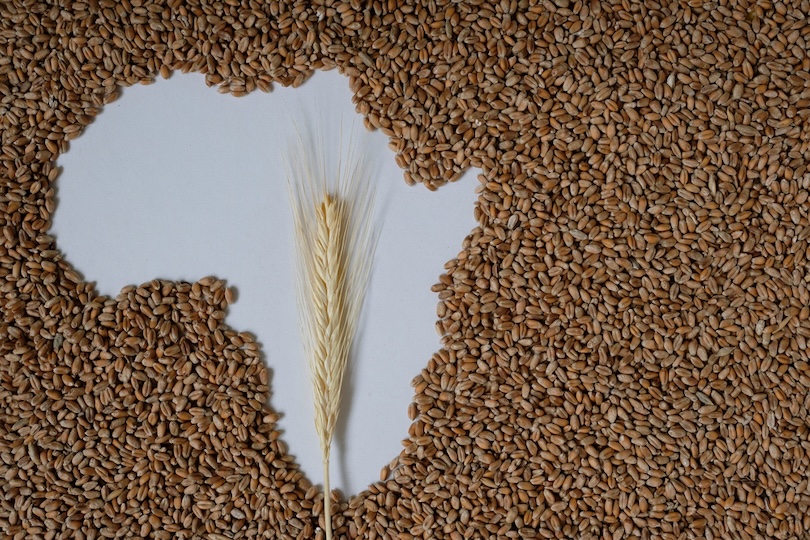 Afrikos kelias į aprūpinimą maistu nestabiliame pasaulyje – e. tarptautiniai santykiai